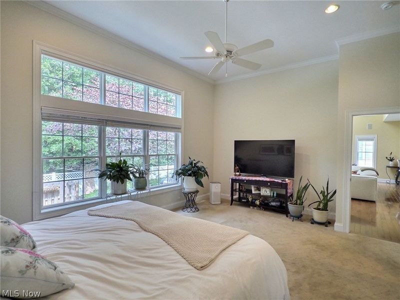 5041 Bristol Court, Lyndhurst, OH 44124 Photo 8