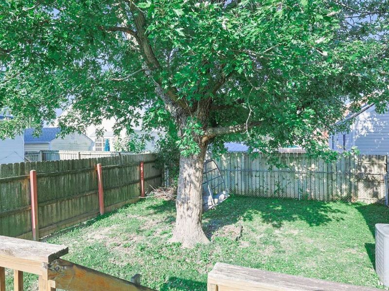 4123 Hoffman Avenue, Deer Park, OH 45236 Photo 28