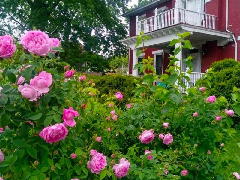 1026 E Mound Street, Columbus, OH 43205 Photo 17