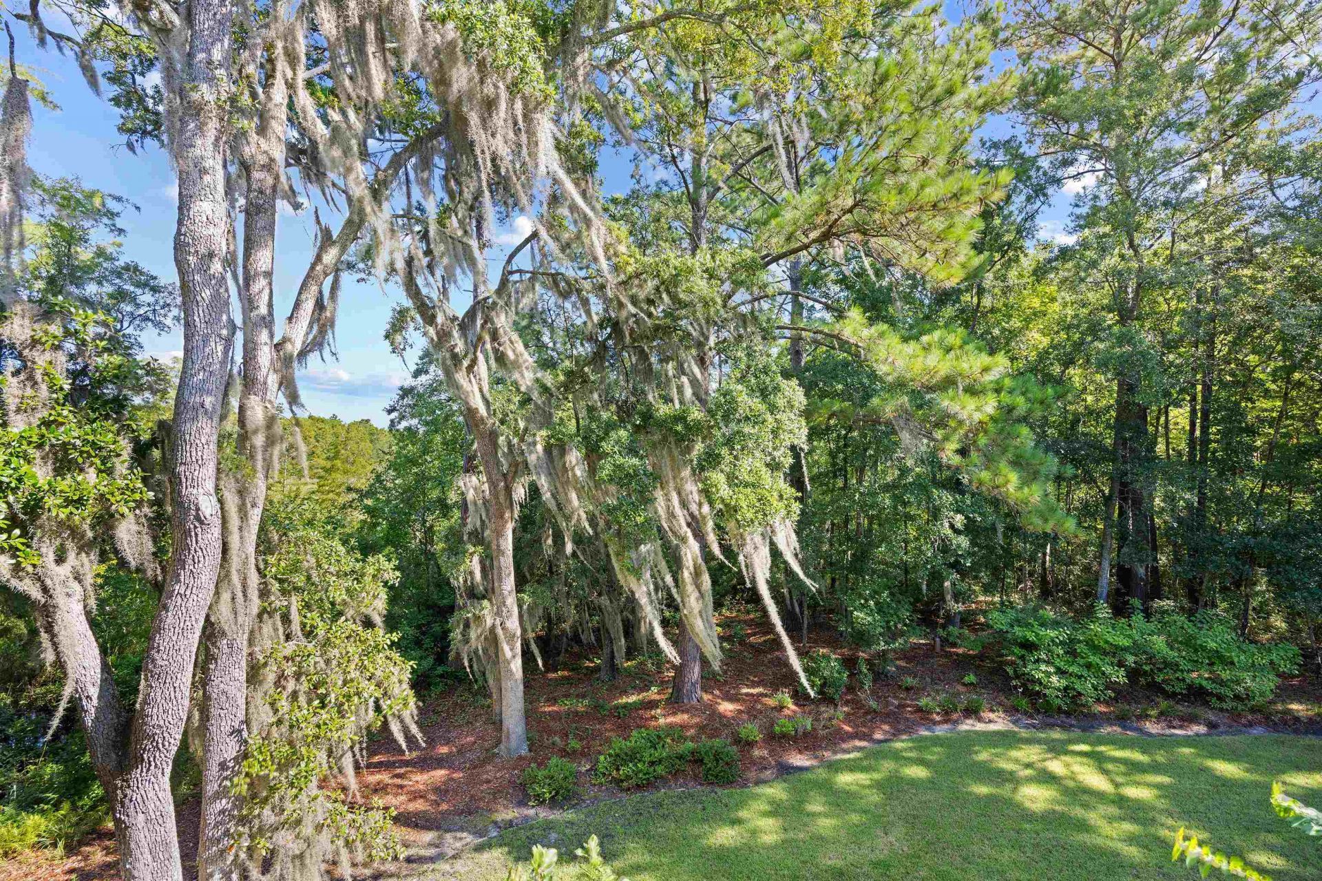 14 Flat Boat Ln. Photo 45