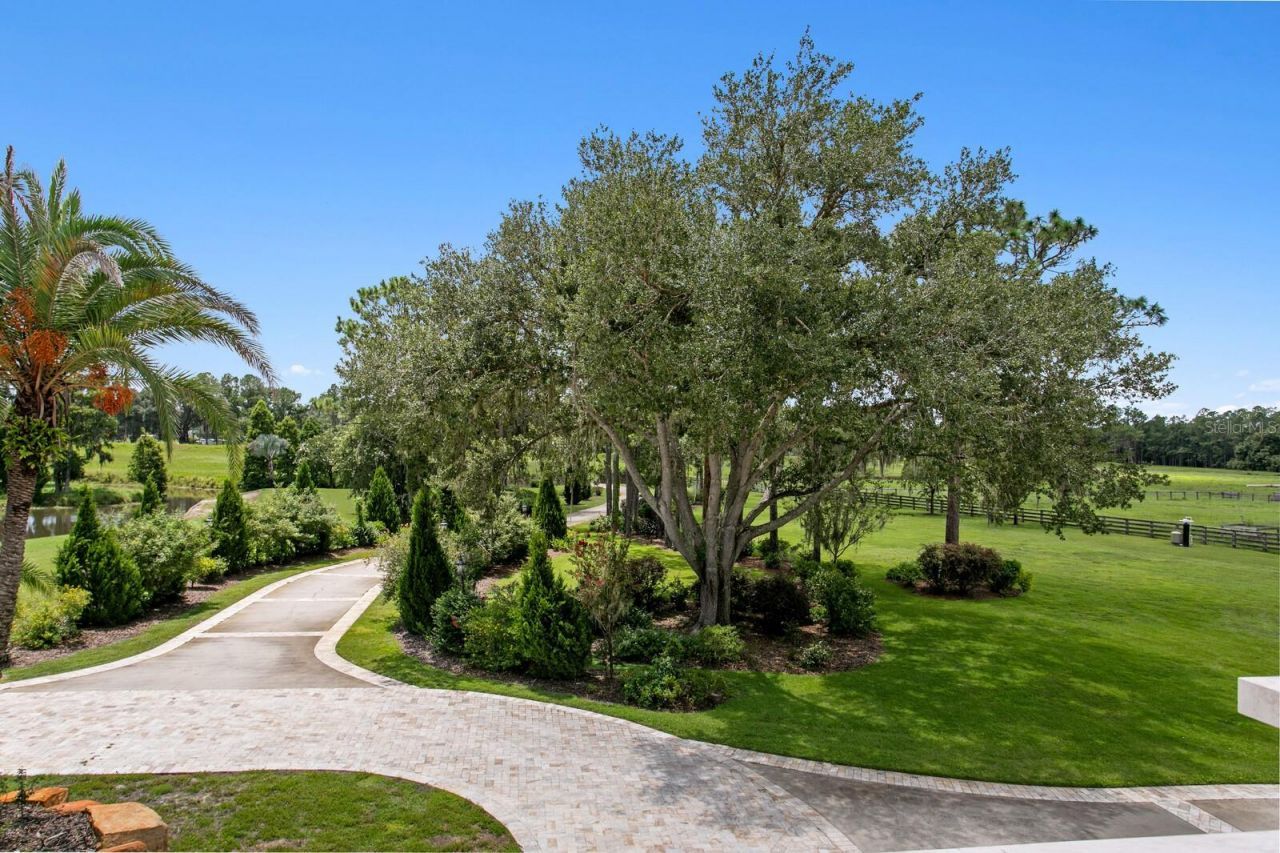 7850 Four Pines Road, Plant City, FL 33565 Photo
