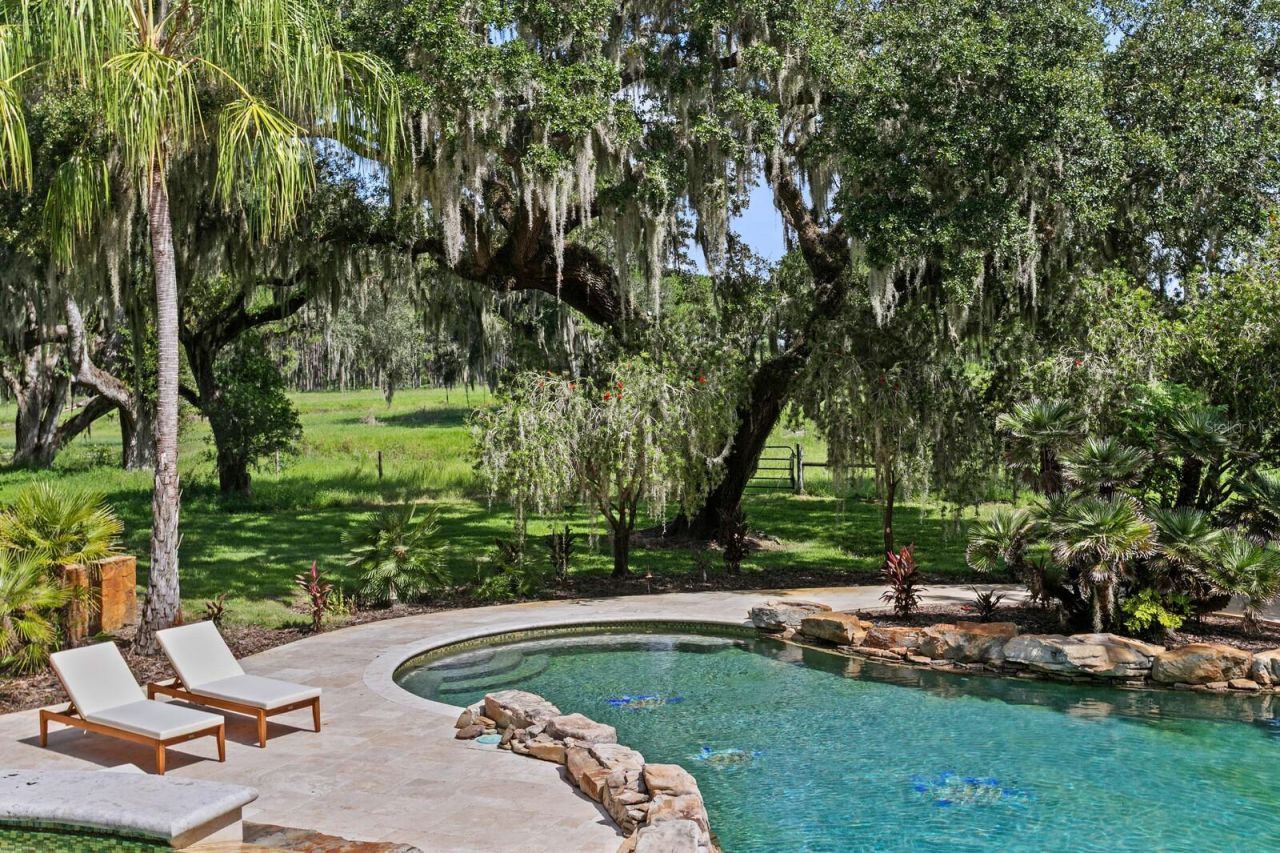 7850 Four Pines Road, Plant City, FL 33565 Photo
