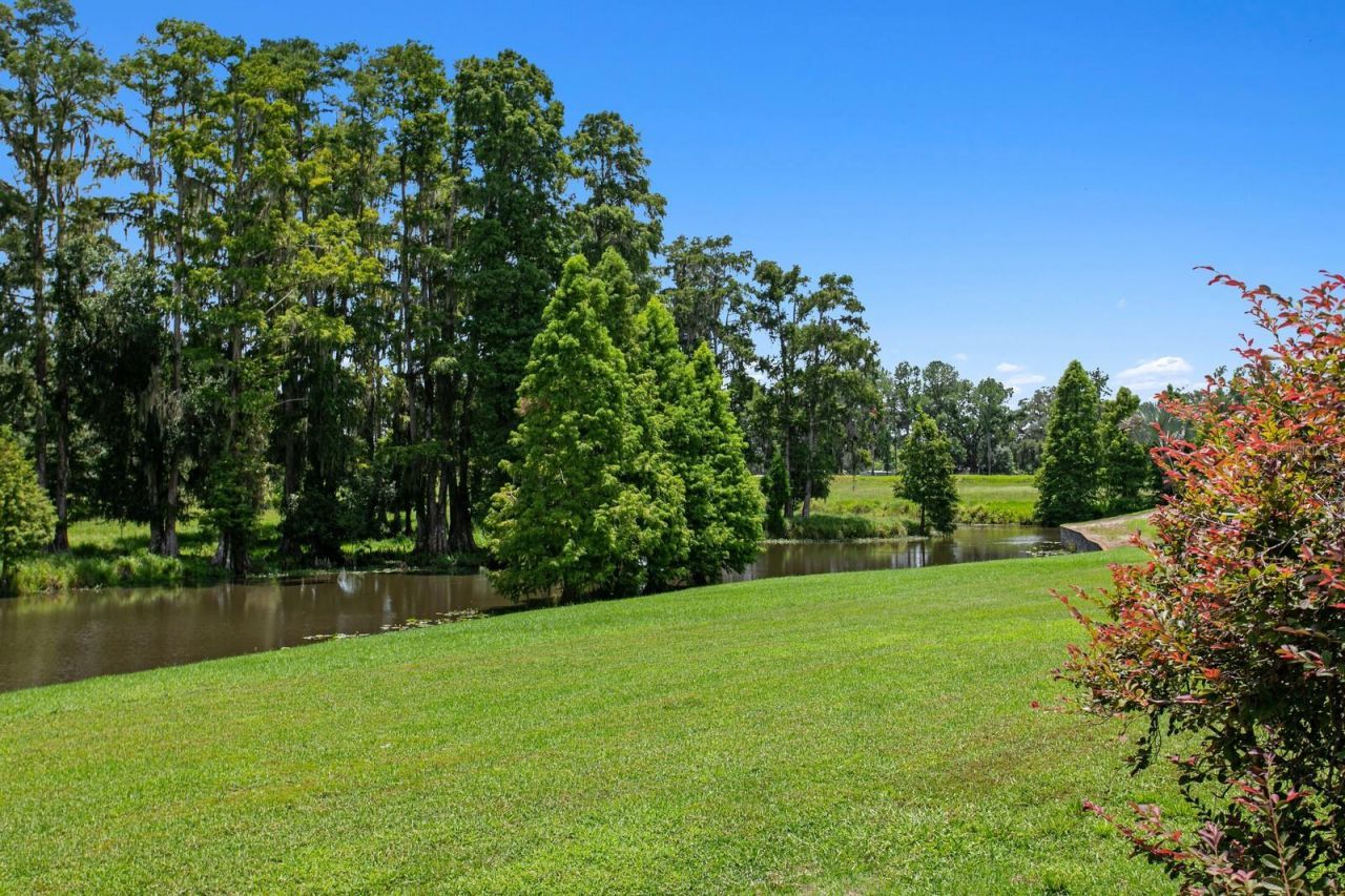 7850 Four Pines Road, Plant City, FL 33565 Photo