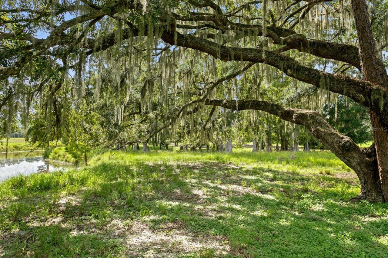7850 Four Pines Road, Plant City, FL 33565 Photo
