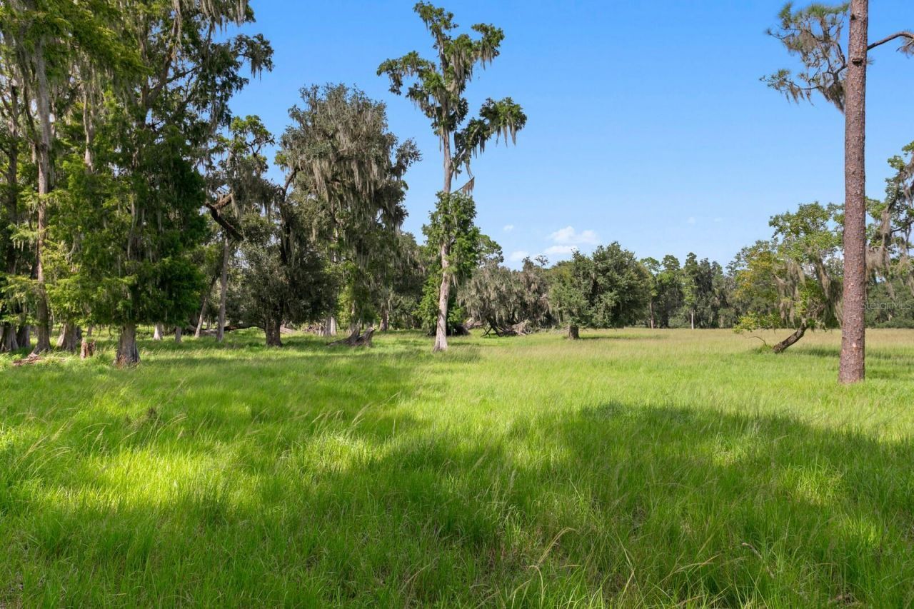 7850 Four Pines Road, Plant City, FL 33565 Photo