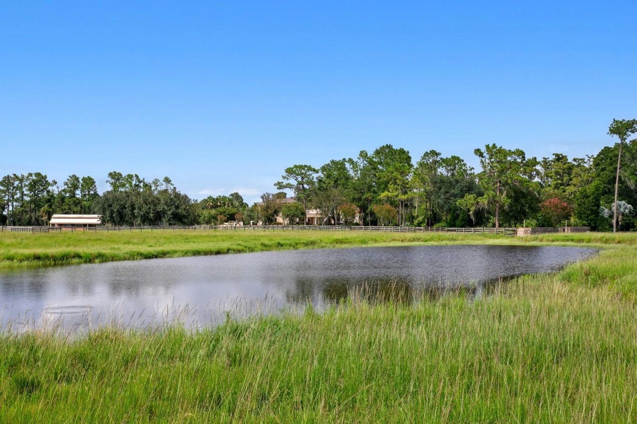 7850 Four Pines Road, Plant City, FL 33565 Photo