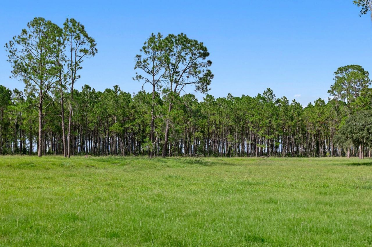 7850 Four Pines Road, Plant City, FL 33565 Photo