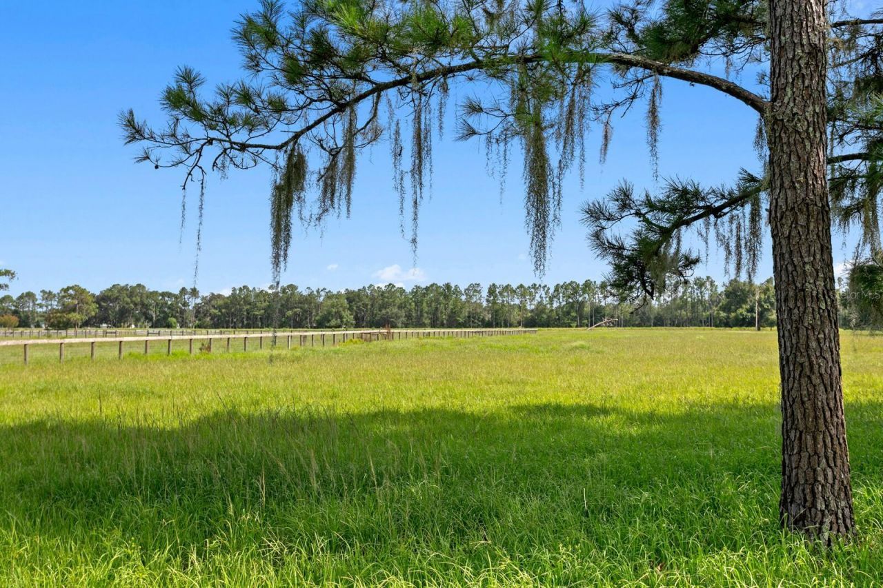 7850 Four Pines Road, Plant City, FL 33565 Photo