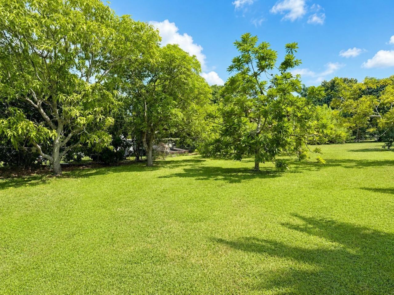 20890 SW 236th Street, Homestead, FL 33031 Photo