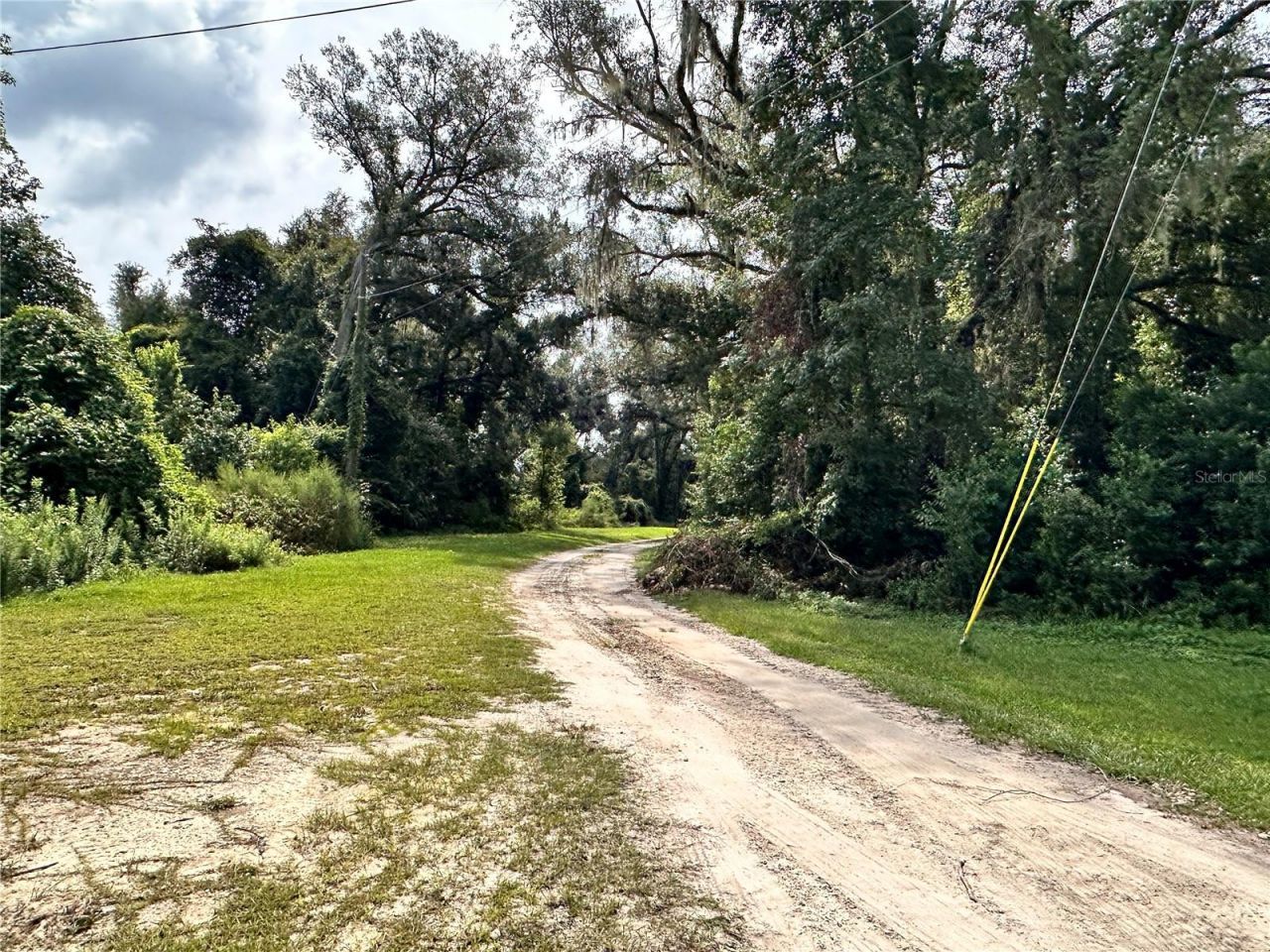 Nw West South Drive , Mayo, FL 32066 Photo