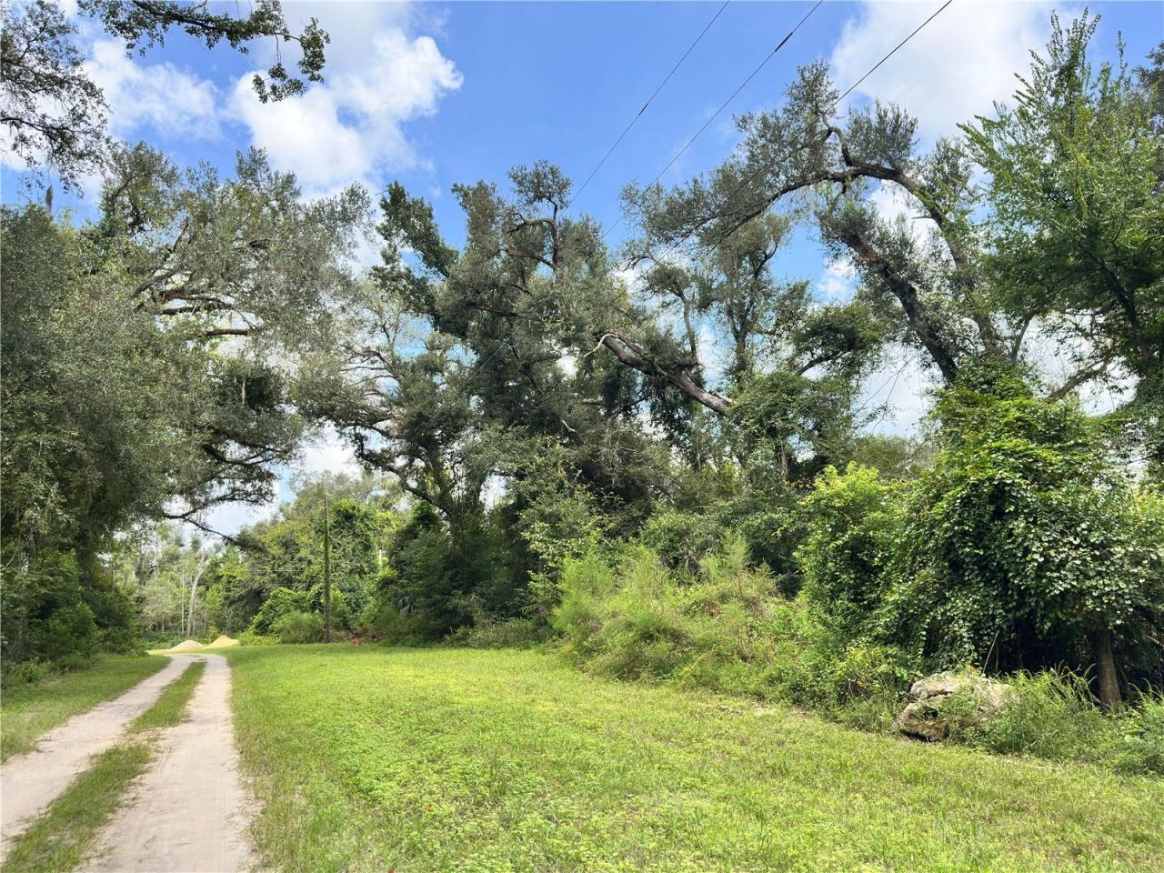 Nw West South Drive , Mayo, FL 32066 Photo