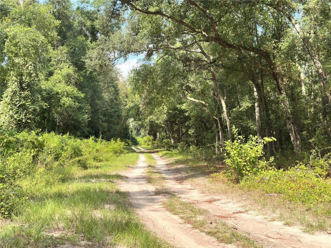 Nw West South Drive , Mayo, FL 32066 Photo