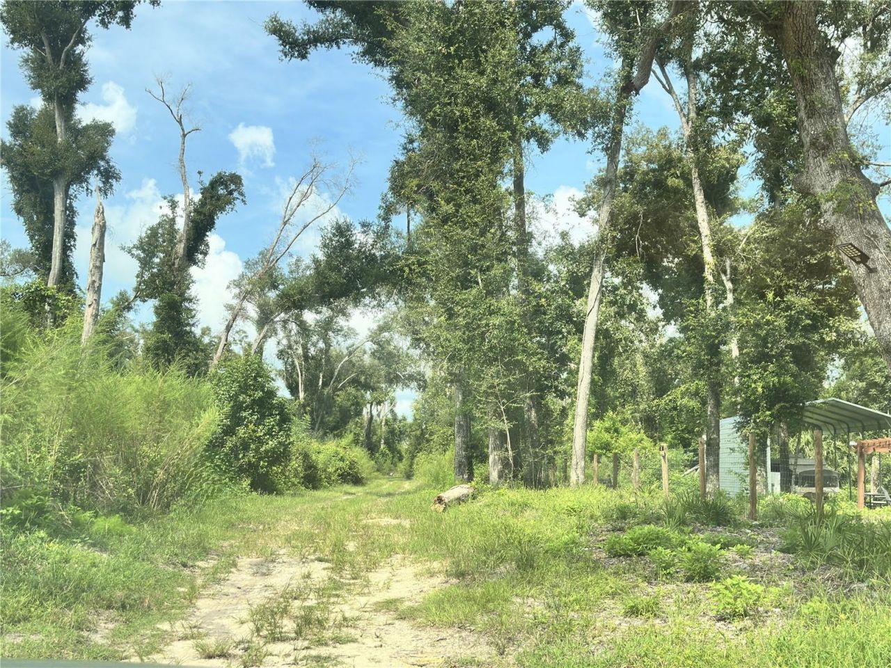 Nw West South Drive , Mayo, FL 32066 Photo