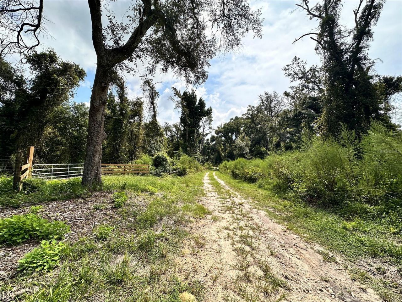 Nw West South Drive , Mayo, FL 32066 Photo