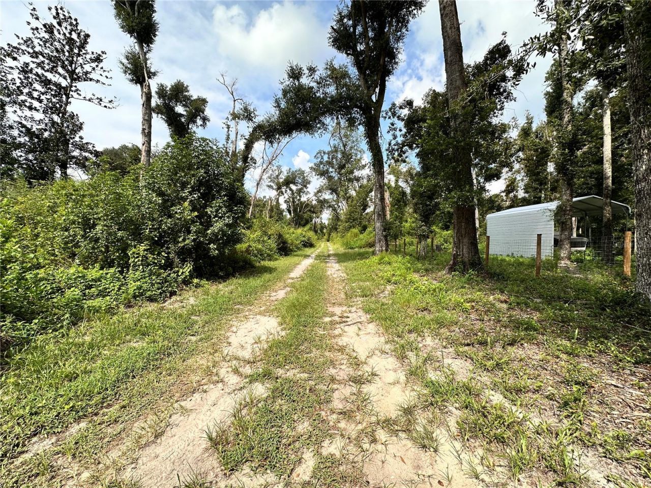 Nw West South Drive , Mayo, FL 32066 Photo