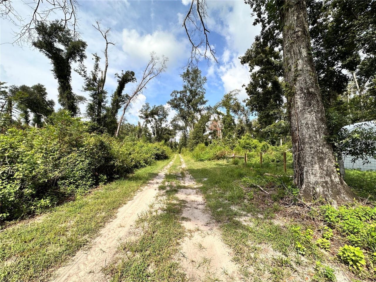 Nw West South Drive , Mayo, FL 32066 Photo