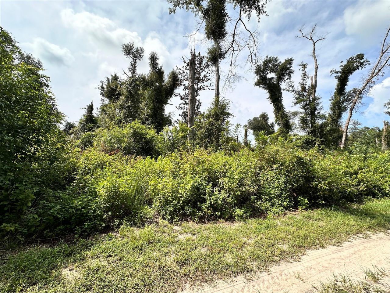 Nw West South Drive , Mayo, FL 32066 Photo