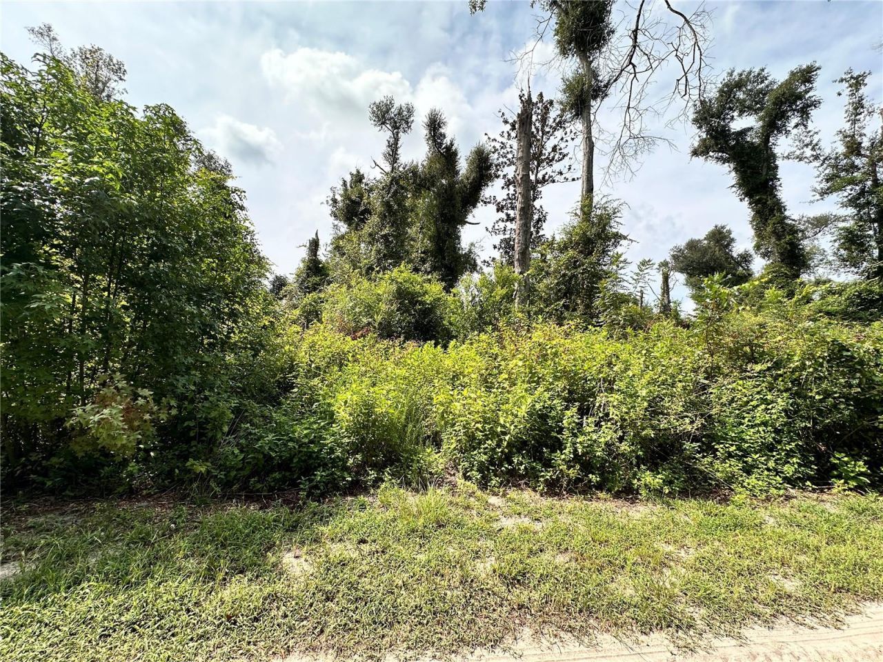 Nw West South Drive , Mayo, FL 32066 Photo