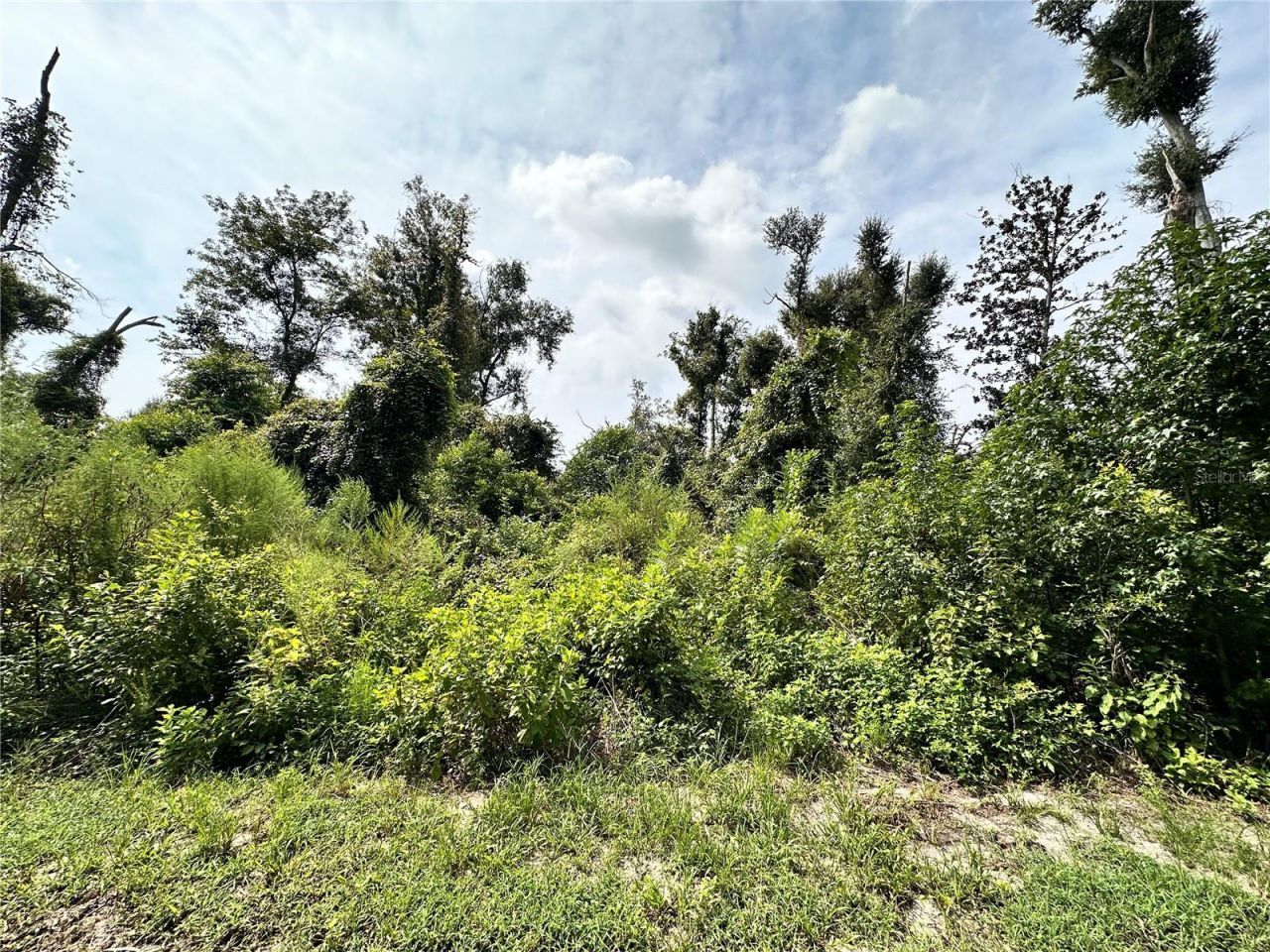 Nw West South Drive , Mayo, FL 32066 Photo