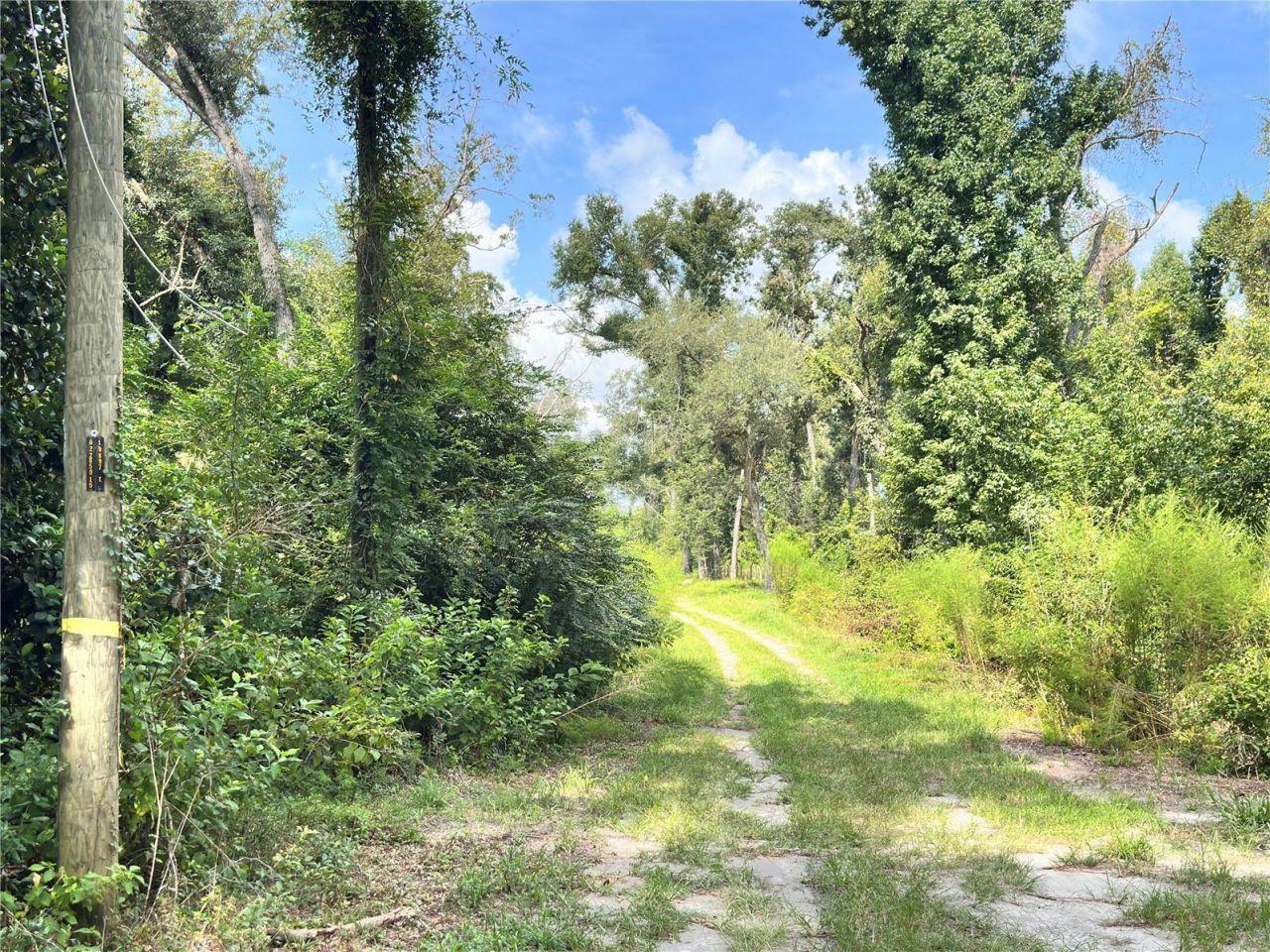 Nw West South Drive , Mayo, FL 32066 Photo