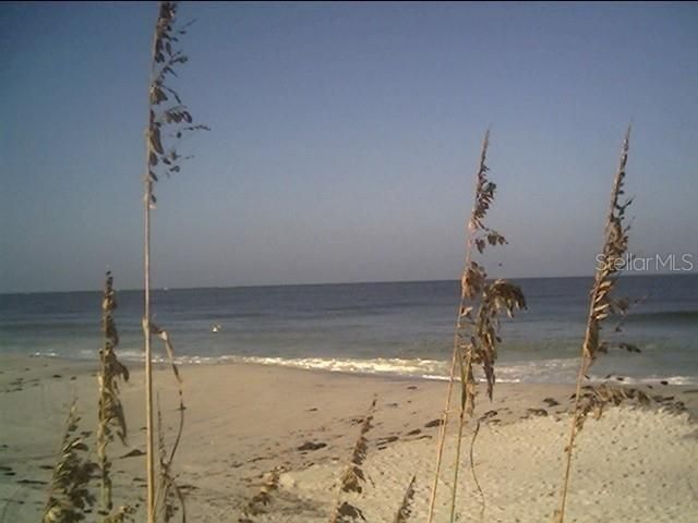 Barracuda Drive, Placida, FL 33946 Photo
