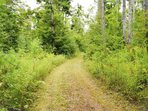 TBD Kuzmik Road, Boyne Falls, MI 49713