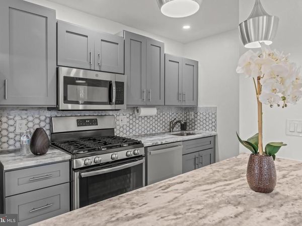 133 E WALNUT PARK DRIVE, PHILADELPHIA, PA 19120