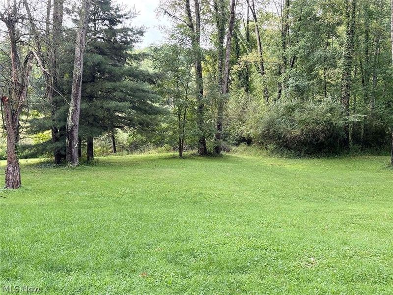 5396 Mennonite Road, Mantua, OH 44255 Photo 6