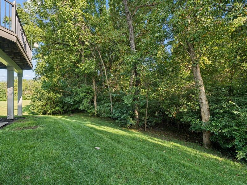 4543 Shady Blossom Lane, Columbus, OH 43230 Photo 53