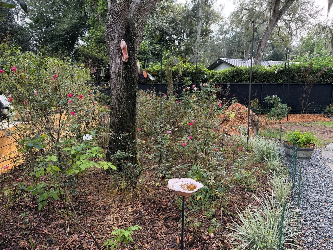 52 Pine Forest Drive, Haines City, FL 33844 Photo