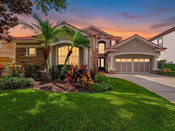 11625 BRISTOL CHASE DRIVE, TAMPA, FL 33626