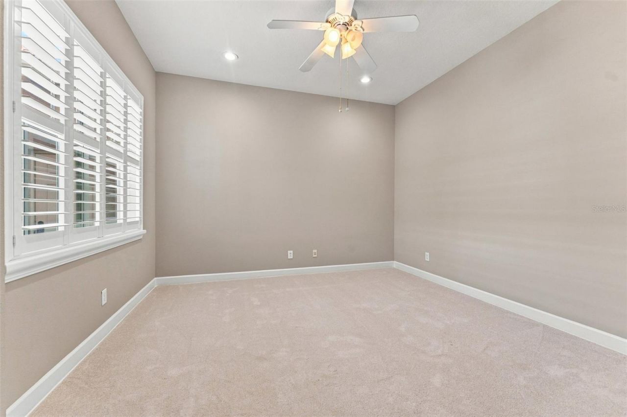 11625 Bristol Chase Drive, Tampa, FL 33626 Photo
