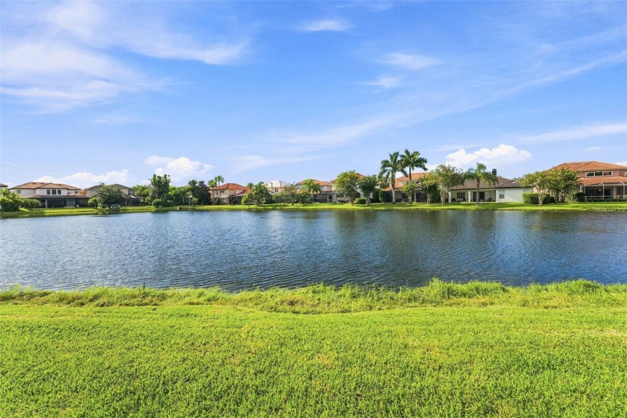 11625 Bristol Chase Drive, Tampa, FL 33626 Photo