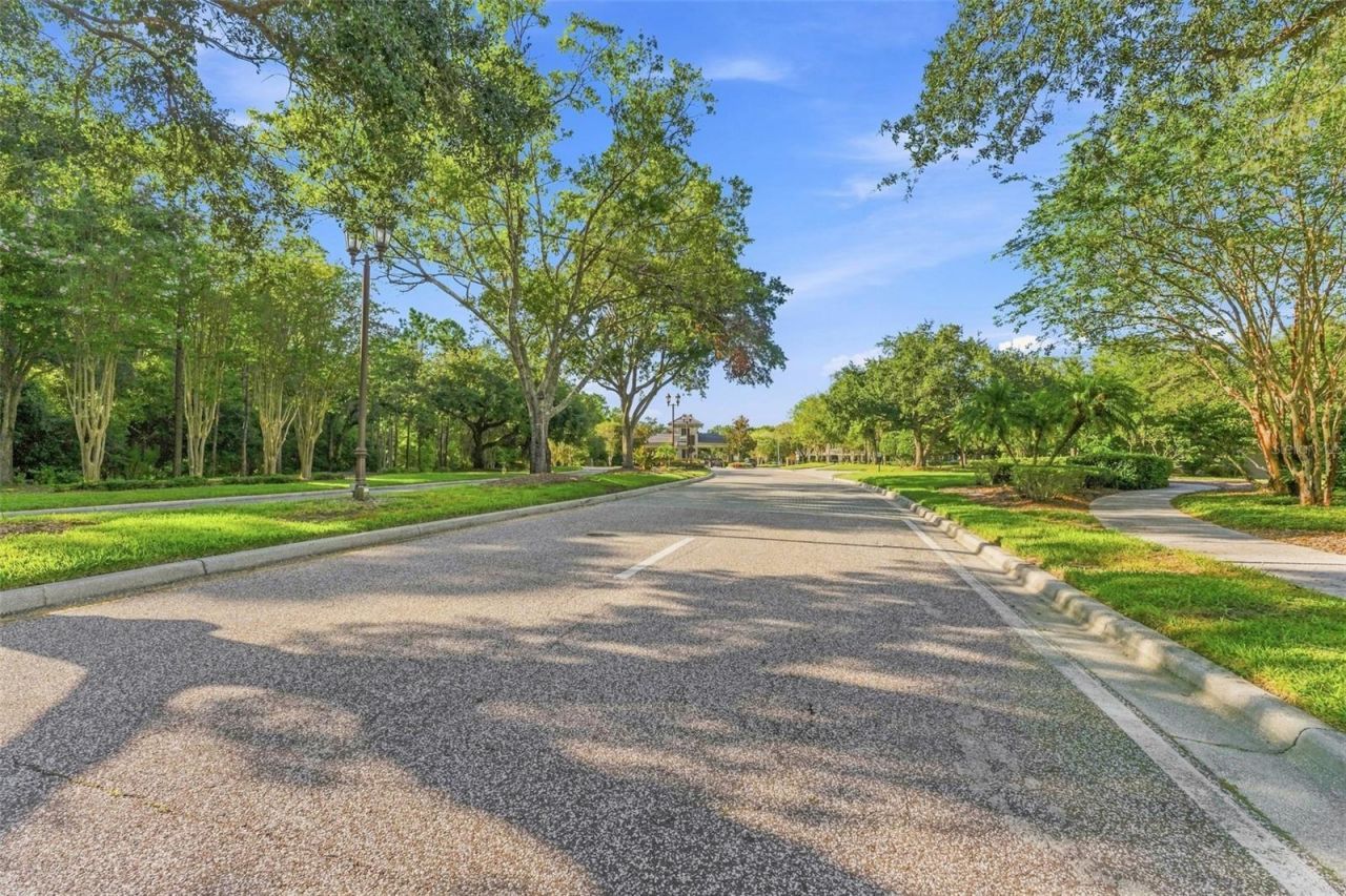 11625 Bristol Chase Drive, Tampa, FL 33626 Photo