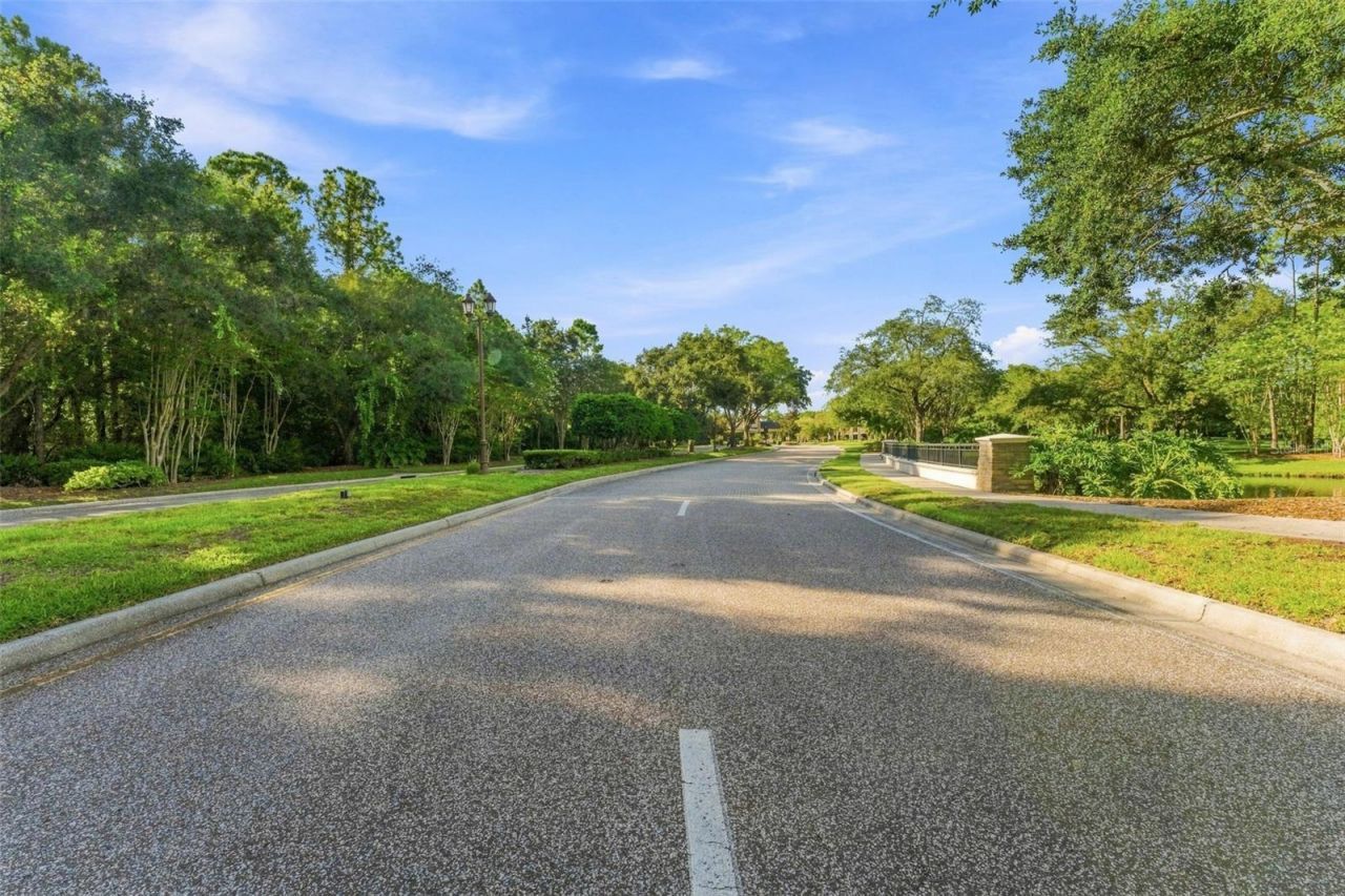 11625 Bristol Chase Drive, Tampa, FL 33626 Photo