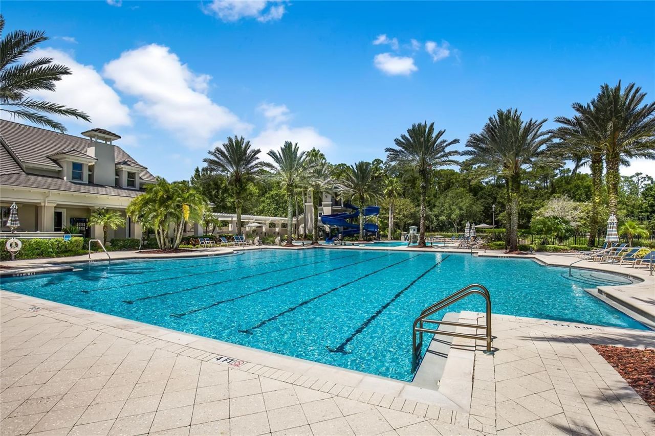 11625 Bristol Chase Drive, Tampa, FL 33626 Photo