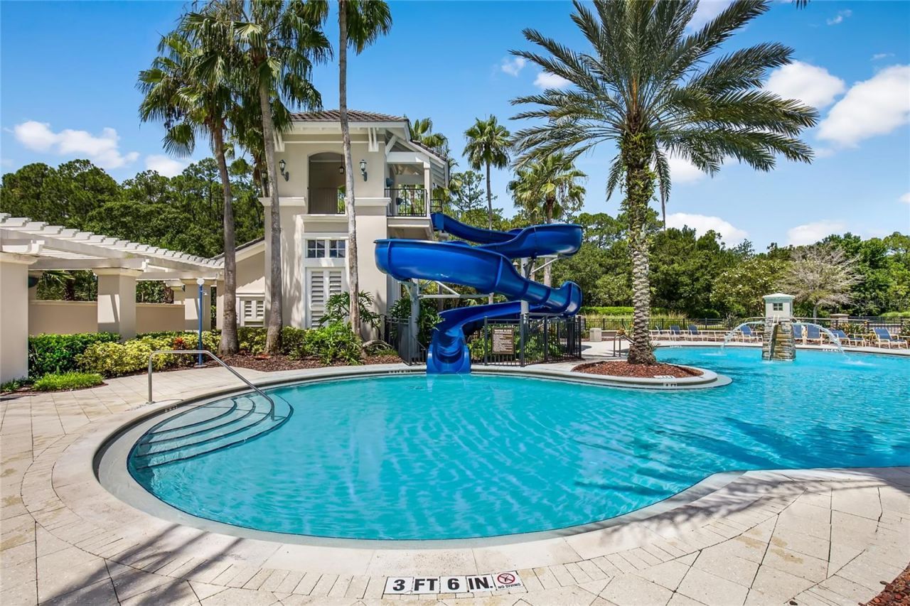 11625 Bristol Chase Drive, Tampa, FL 33626 Photo