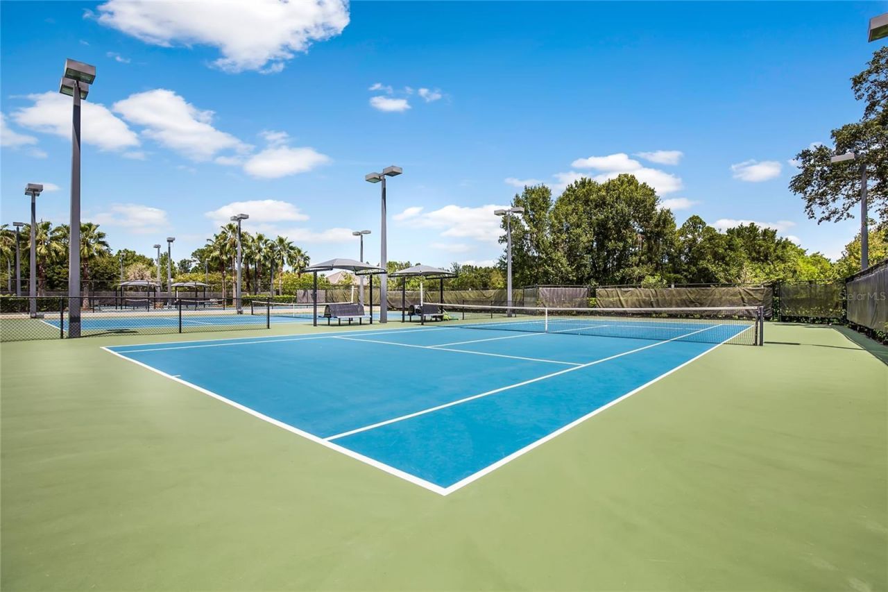 11625 Bristol Chase Drive, Tampa, FL 33626 Photo