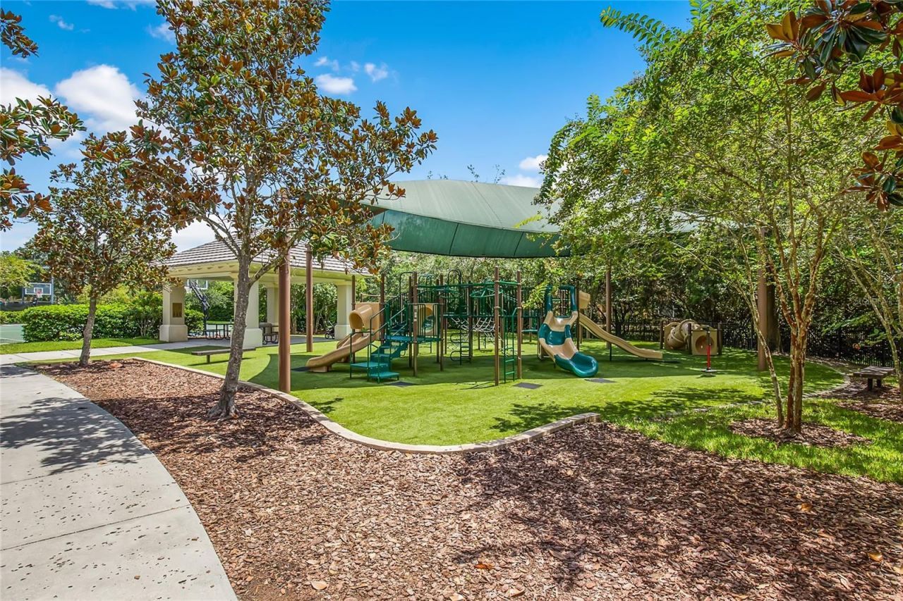 11625 Bristol Chase Drive, Tampa, FL 33626 Photo