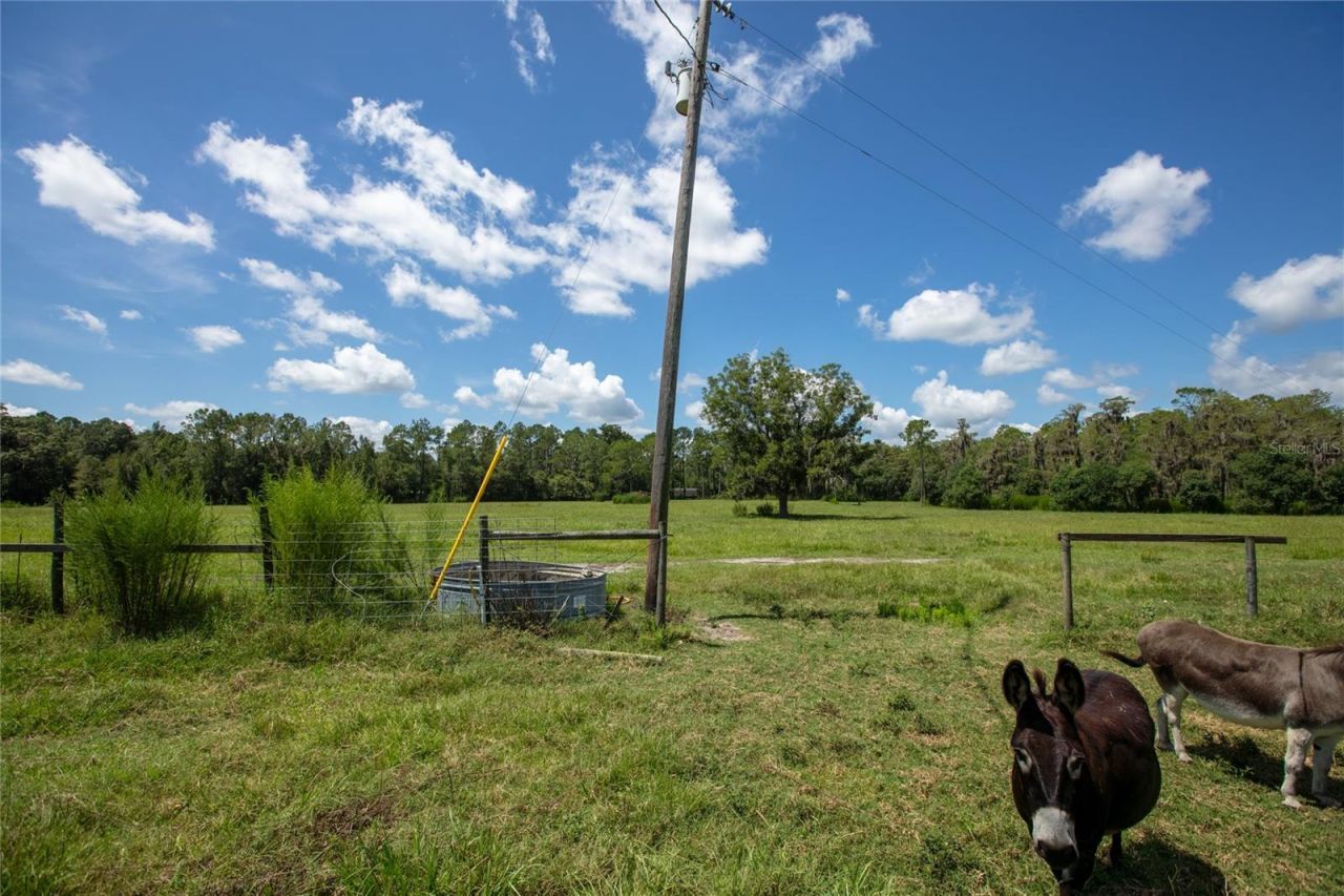 0 NW Cr 225 , Starke, FL 32091 Photo