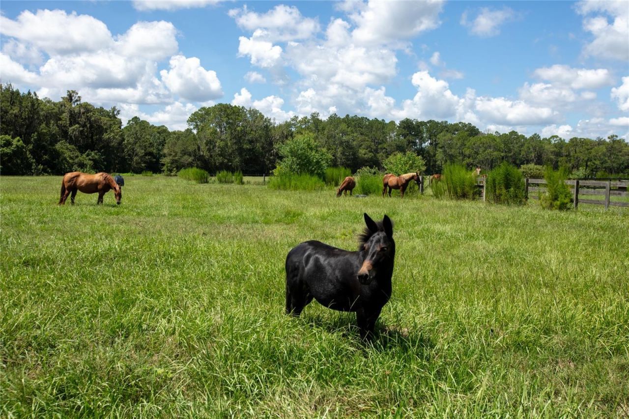 0 NW Cr 225 , Starke, FL 32091 Photo