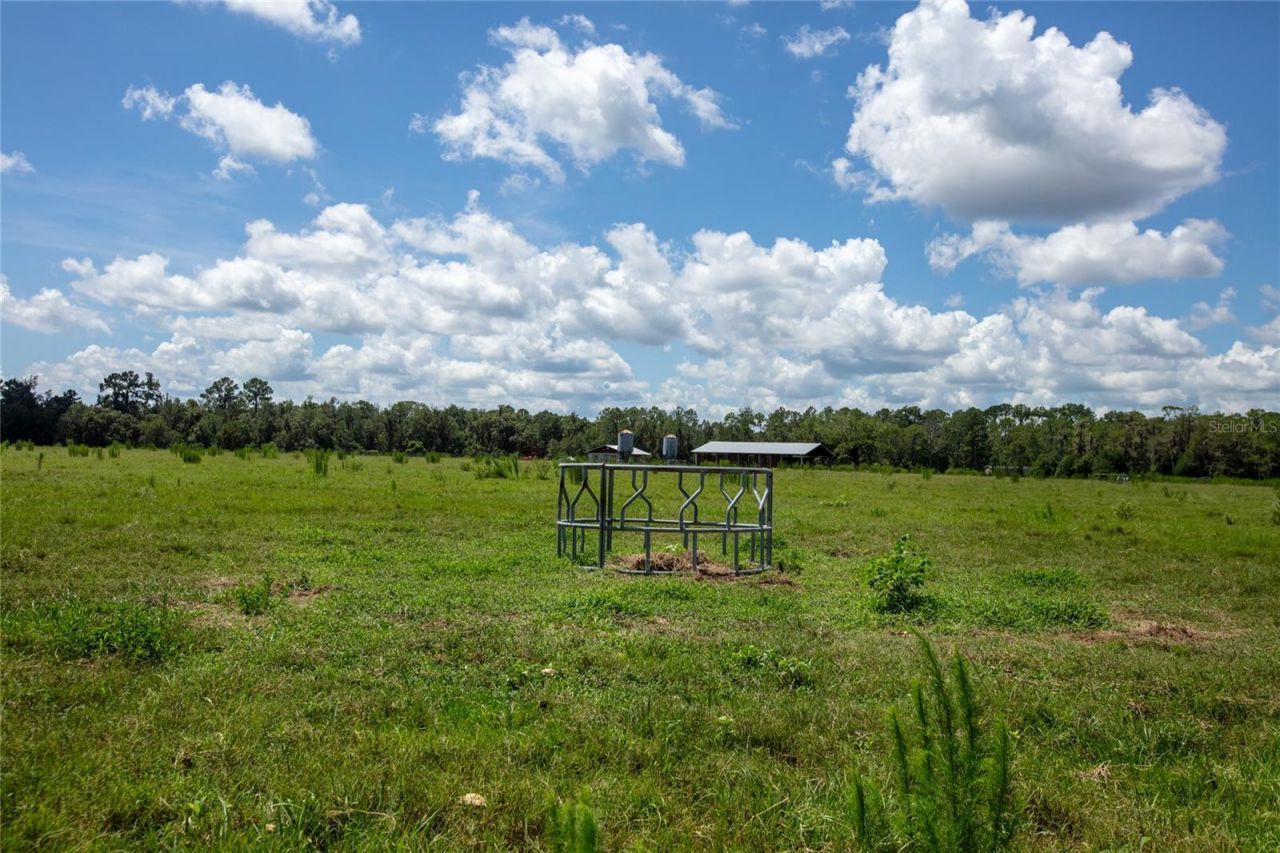 0 NW Cr 225 , Starke, FL 32091 Photo