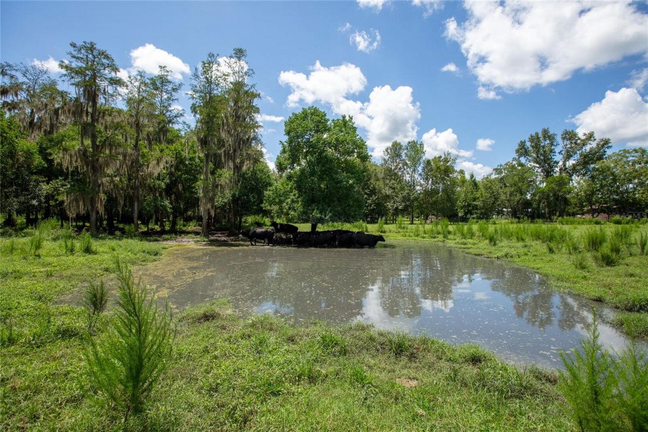 0 NW Cr 225 , Starke, FL 32091 Photo