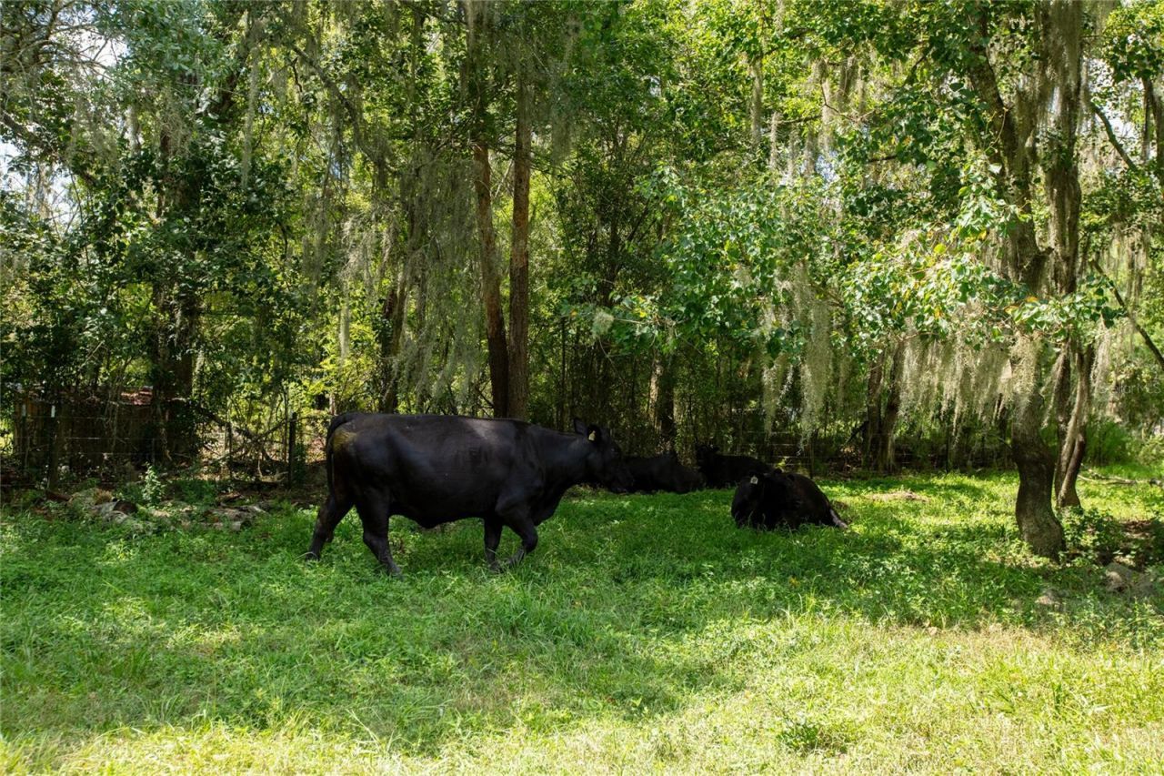 0 NW Cr 225 , Starke, FL 32091 Photo