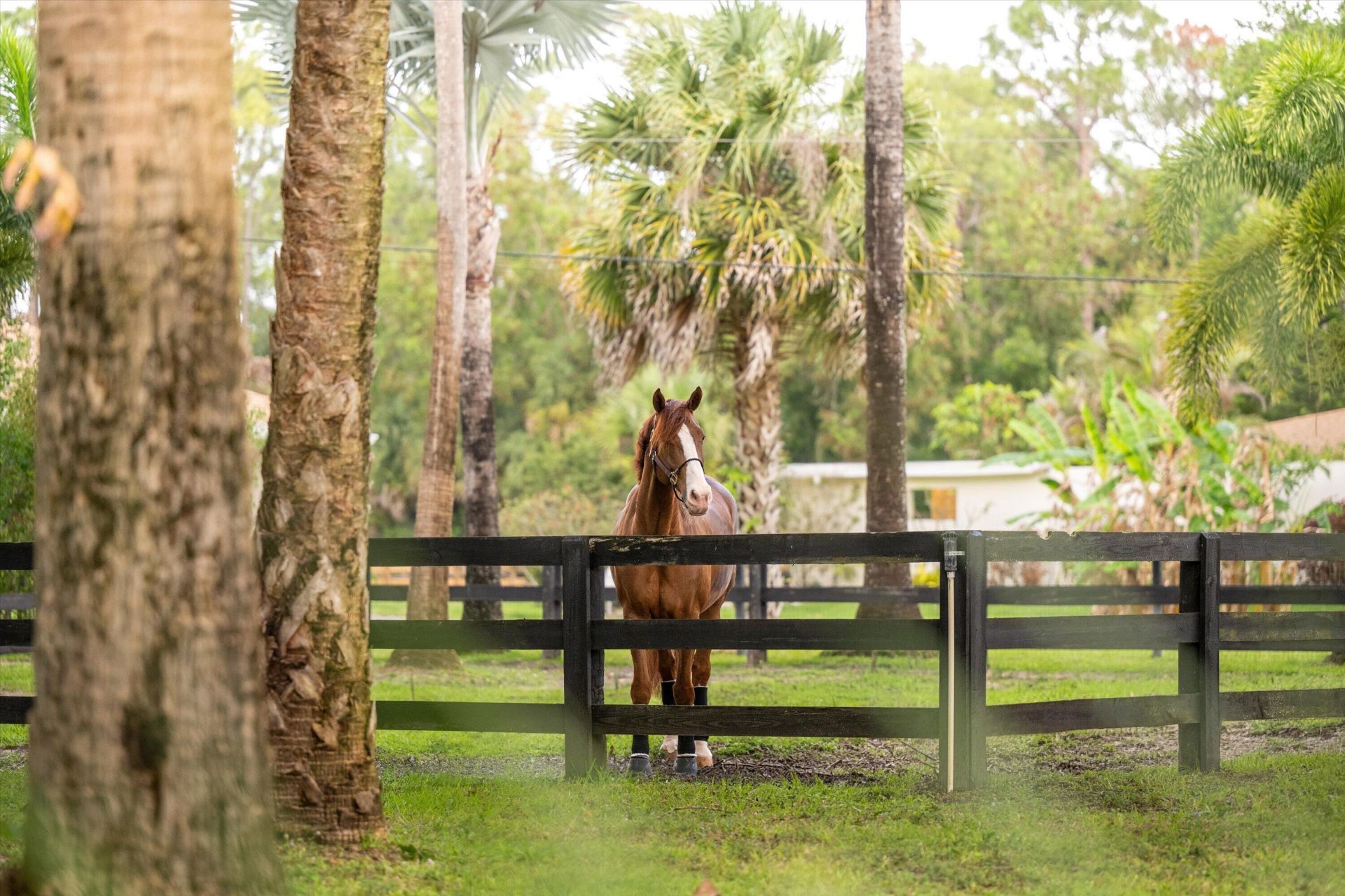 1037 F Road, Loxahatchee Groves, FL 33470 Photo