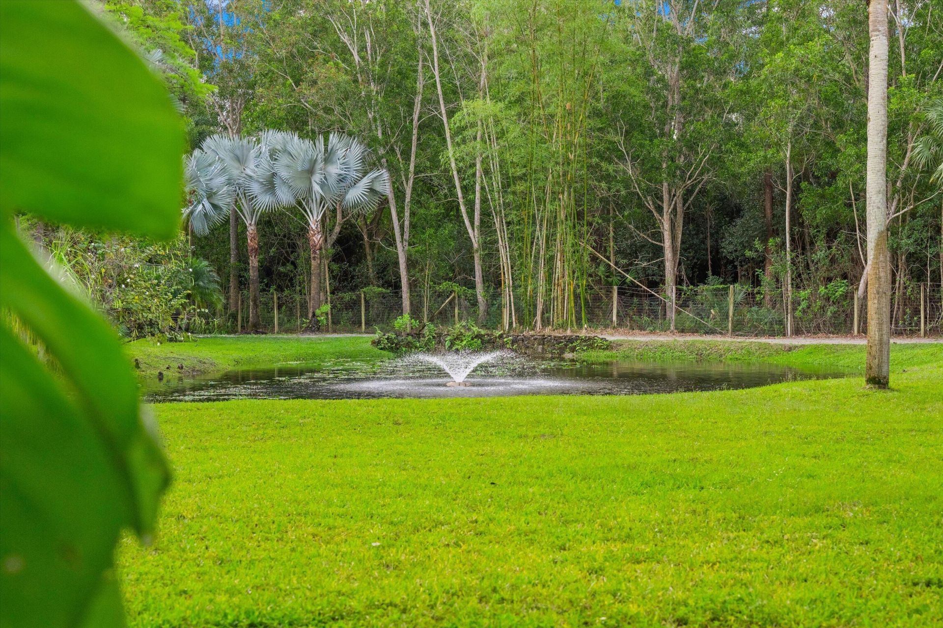 1037 F Road, Loxahatchee Groves, FL 33470 Photo
