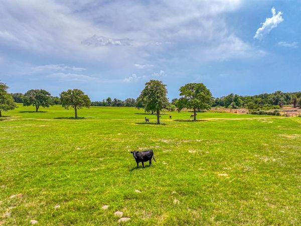 Tract 3 Three Quarter Loop , Poolville, TX 76487