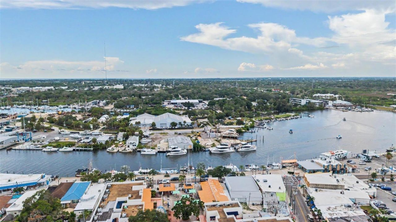 704 Bayshore Drive, Tarpon Springs, FL 34689 Photo