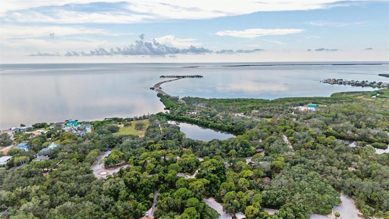 704 Bayshore Drive, Tarpon Springs, FL 34689 Photo