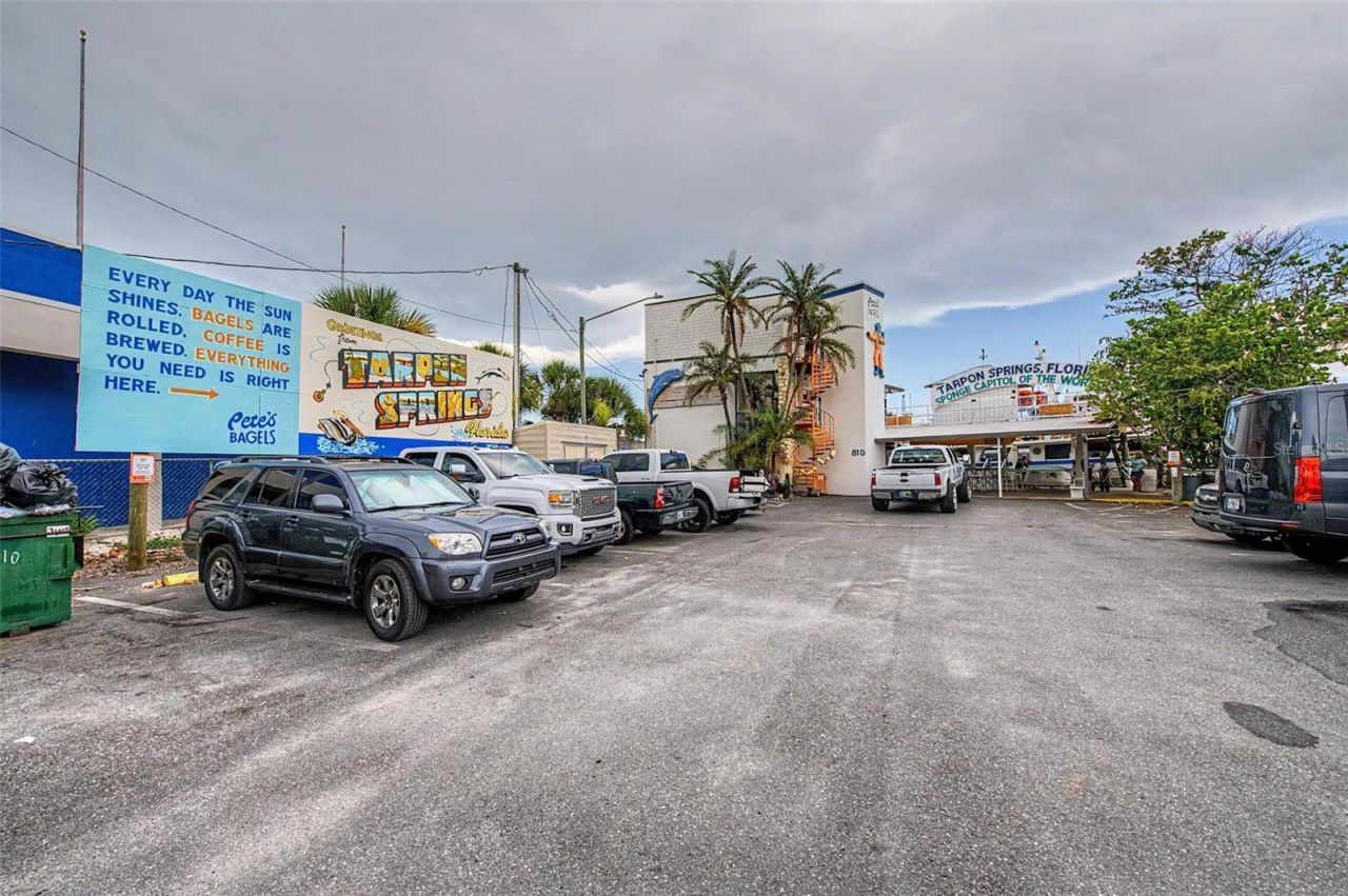 704 Bayshore Drive, Tarpon Springs, FL 34689 Photo